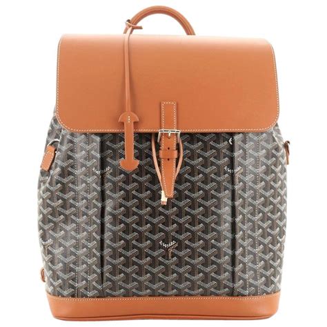 goyard alpin mini價錢|Goyard Alpin Backpack: A Complete Review: Prices, .